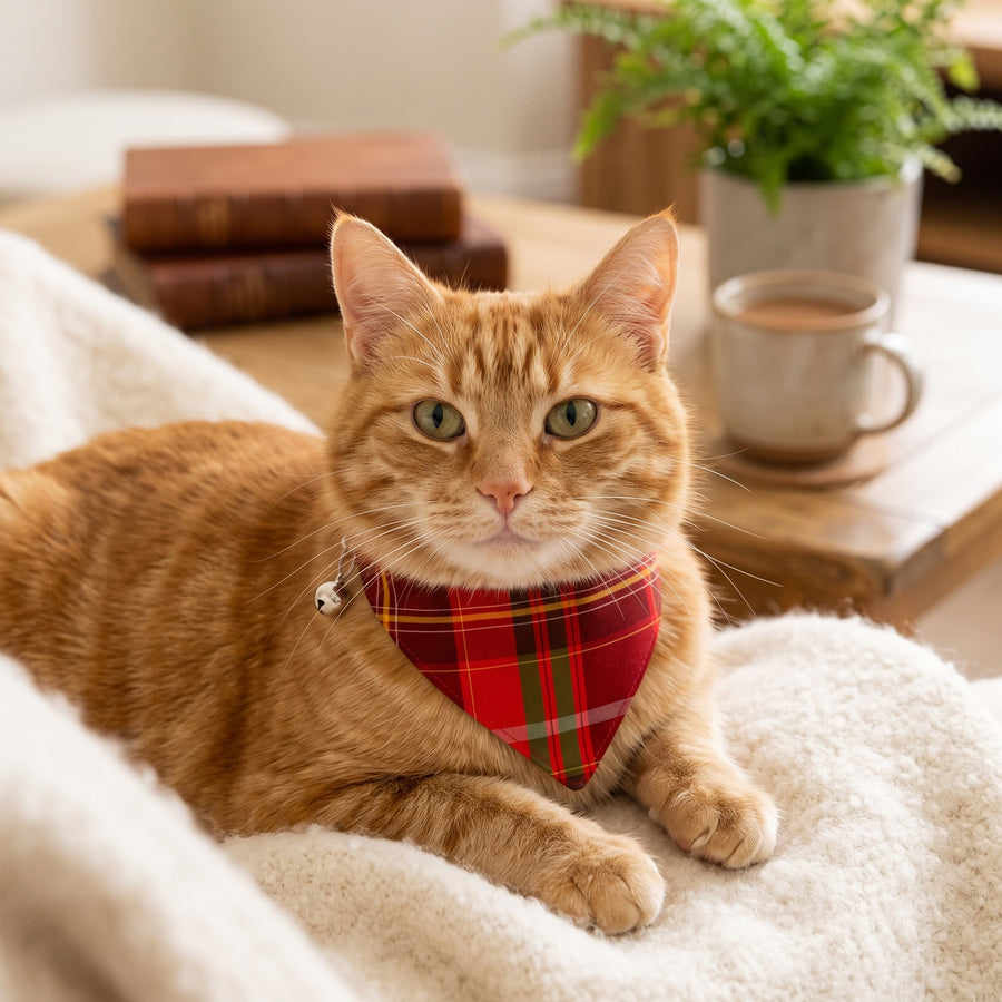 Classic Tartan Plaid Cat Bandana